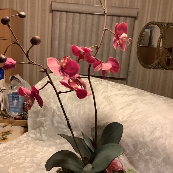 Artificial Tropical Exotic Pink Orchid Plant 30” height  25” base circumference - Picture 8 of 12